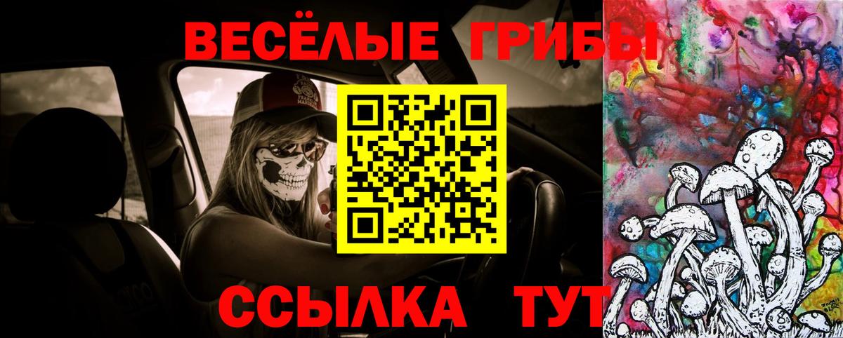 Галлюциногенные грибы GOLDEN TEACHER  Галлюциногенные грибы GOLDEN TEACHER  Вход с VPN  Соликамск 